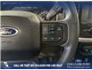 2023 Ford F-150 XLT (Stk: P14700) in Airdrie - Image 16 of 24