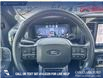 2024 Ford F-150 Platinum (Stk: P6878) in Olds - Image 13 of 24