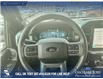 2025 Ford F-150 Lariat (Stk: P6802) in Olds - Image 14 of 25
