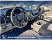 2020 Ford F-150 XLT (Stk: P1580) in Canmore - Image 13 of 27