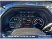 2020 Ford F-150 XLT (Stk: P1580) in Canmore - Image 15 of 27