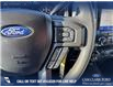 2020 Ford F-150 XLT (Stk: P1580) in Canmore - Image 16 of 27