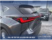 2023 Lexus NX 350 Base (Stk: P6895) in Olds - Image 11 of 25 2023 Lexus NX 350 Base (Stk: P6895) in Olds - Image 11 of 25