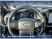 2023 Ford F-150 Platinum (Stk: U37934) in Red Deer - Image 14 of 25