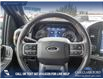 2023 Ford F-150 Tremor (Stk: U37930) in Red Deer - Image 14 of 25