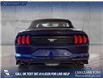 2020 Ford Mustang EcoBoost (Stk: P14825) in Airdrie - Image 5 of 25