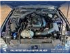 2020 Ford Mustang EcoBoost (Stk: P14825) in Airdrie - Image 10 of 25
