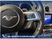 2020 Ford Mustang EcoBoost (Stk: P14825) in Airdrie - Image 16 of 25