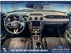 2020 Ford Mustang EcoBoost (Stk: P14825) in Airdrie - Image 24 of 25