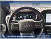 2021 Ford F-150 Lariat (Stk: P6926) in Olds - Image 13 of 23
