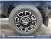 2023 Ford F-350 Platinum (Stk: P6918) in Olds - Image 6 of 25