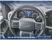 2023 Ford F-150 XLT (Stk: P6937) in Olds - Image 13 of 24