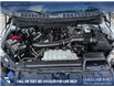 2025 Ford F-150 Platinum (Stk: P1609) in Canmore - Image 10 of 27