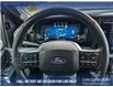 2025 Ford F-150 Platinum (Stk: P1609) in Canmore - Image 14 of 27