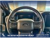 2024 Ford F-150 XLT (Stk: P14897) in Airdrie - Image 14 of 25