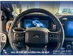 2025 Ford F-150 Tremor (Stk: P14906) in Airdrie - Image 14 of 25