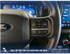 2025 Ford F-150 Tremor (Stk: P14906) in Airdrie - Image 16 of 25