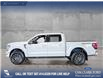 2025 Ford F-150 Tremor (Stk: P14905) in Airdrie - Image 3 of 25