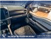 2025 Ford F-150 Tremor (Stk: P14905) in Airdrie - Image 25 of 25