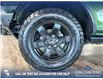 2023 Ford Bronco Black Diamond (Stk: P14915) in Airdrie - Image 6 of 25