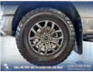 2025 Ford F-150 Tremor (Stk: P14908) in Airdrie - Image 6 of 25