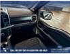 2025 Ford F-150 Tremor (Stk: P14908) in Airdrie - Image 25 of 25