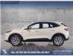 2022 Ford Escape Titanium (Stk: P14920) in Airdrie - Image 3 of 25