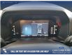 2024 Ford Ranger XLT (Stk: U37982) in Red Deer - Image 15 of 25