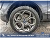 2018 Ford EcoSport SES (Stk: P1616) in Canmore - Image 6 of 26
