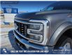 2024 Ford F-450 Lariat (Stk: P6888) in Olds - Image 8 of 24