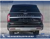 2024 Ford Expedition Max Platinum (Stk: P6976) in Olds - Image 5 of 25