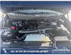 2024 Ford Expedition Max Platinum (Stk: P6976) in Olds - Image 10 of 25