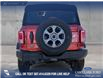 2024 Ford Bronco Big Bend (Stk: P6977) in Olds - Image 5 of 24