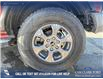 2024 Ford Bronco Big Bend (Stk: P6977) in Olds - Image 6 of 24