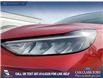 2025 Ford Escape ST-Line (Stk: U38010) in Red Deer - Image 8 of 25