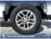 2025 Chevrolet Silverado 1500 LT (Stk: P1624) in Canmore - Image 6 of 26