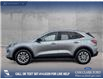 2022 Ford Escape SE (Stk: P1182) in Innisfail - Image 3 of 17