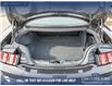 2024 Ford Mustang EcoBoost Premium (Stk: U38021) in Red Deer - Image 12 of 25