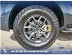 2025 Ford Expedition Tremor (Stk: U38030) in Red Deer - Image 6 of 25