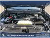 2025 Ford Expedition Tremor (Stk: U38030) in Red Deer - Image 10 of 25