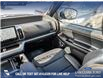 2025 Ford Expedition Tremor (Stk: U38030) in Red Deer - Image 25 of 25