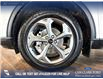 2025 Ford Escape ST-Line (Stk: RC20103) in Airdrie - Image 6 of 25