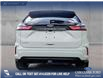 2023 Ford Edge ST Line (Stk: U38024) in Red Deer - Image 5 of 25