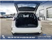 2023 Ford Edge ST Line (Stk: U38024) in Red Deer - Image 12 of 25