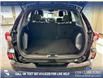 2024 Ford Escape ST-Line (Stk: RC20102) in Airdrie - Image 12 of 24