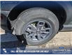 2024 Ford Bronco Sport Big Bend (Stk: P7001) in Olds - Image 6 of 24