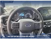 2023 Ford F-150 XLT (Stk: U38042) in Red Deer - Image 11 of 14