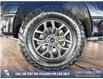 2024 Ford F-150 Tremor (Stk: RC20117) in Airdrie - Image 6 of 24