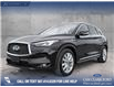 2019 Infiniti QX50 ESSENTIAL (Stk: P1184) in Innisfail - Image 1 of 19