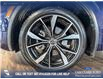 2023 Volkswagen Tiguan Highline R-Line (Stk: P15022) in Airdrie - Image 6 of 25